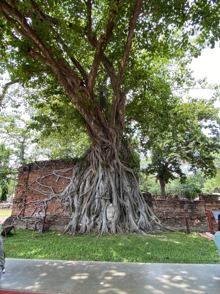 Wat Maha That