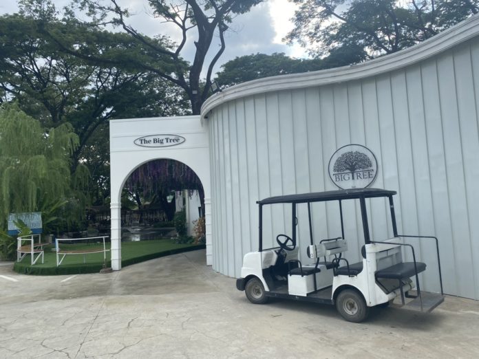 THE BIG TREE CAFÉ THE BIG TREE CAFÉ